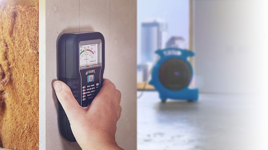 Moisture testing during restoration